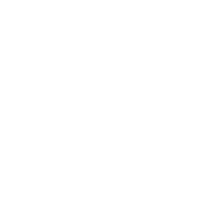 logo iai white copy